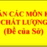 Đáp án khảo sát